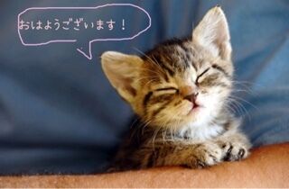 いい感じのお洋服がない&#128557;