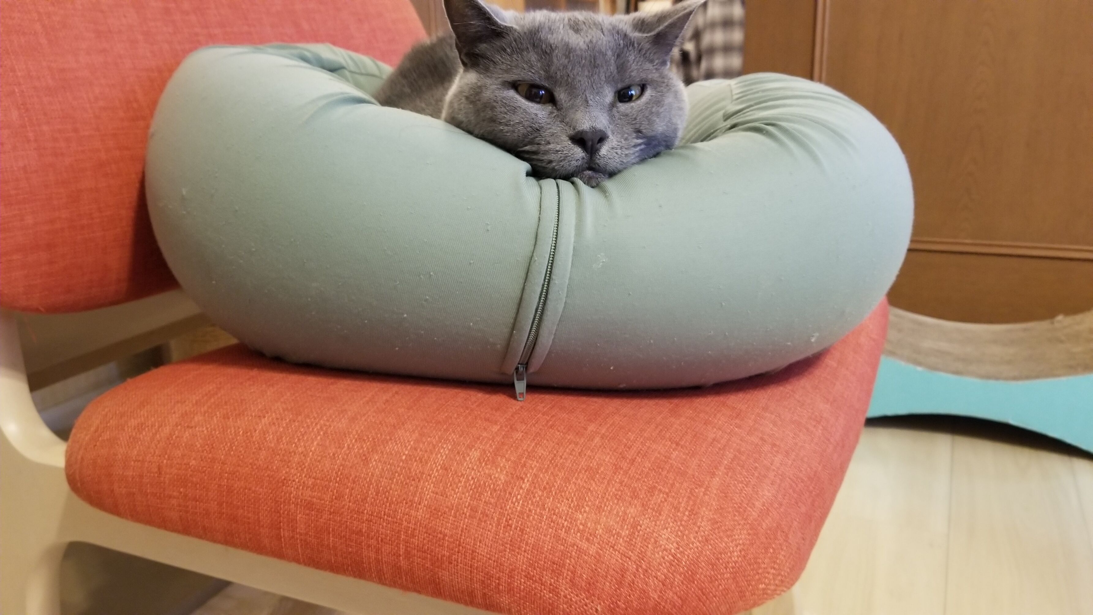 今日もありがとう