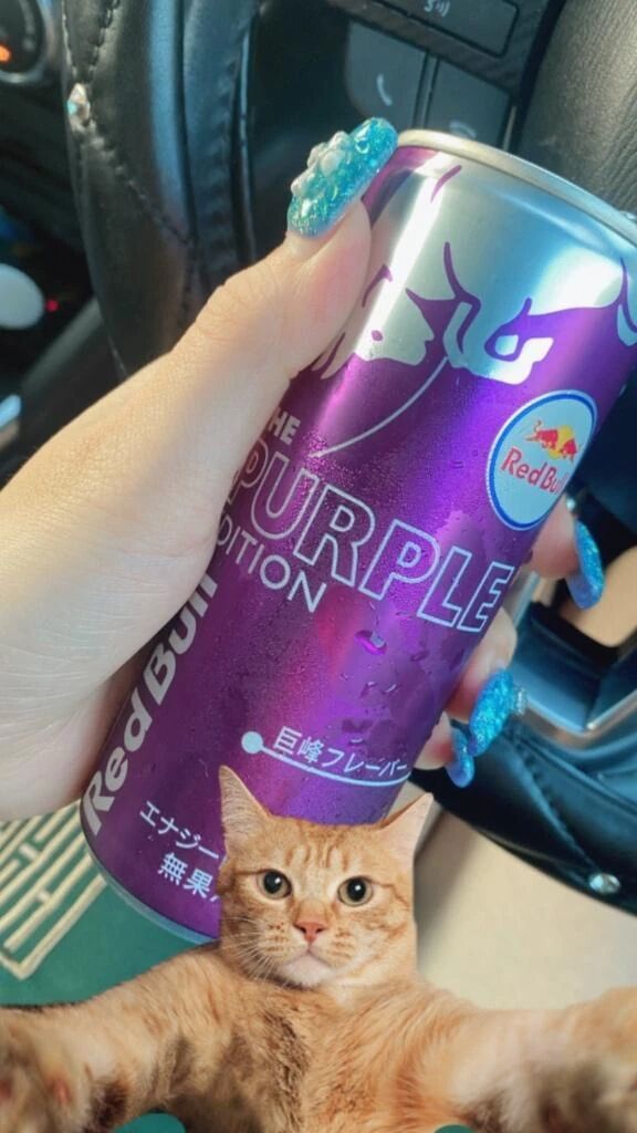 本日のガソリン&#9981;&#65039;
