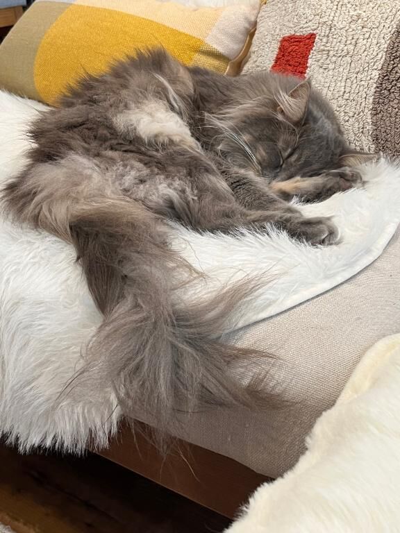 いまのところ
