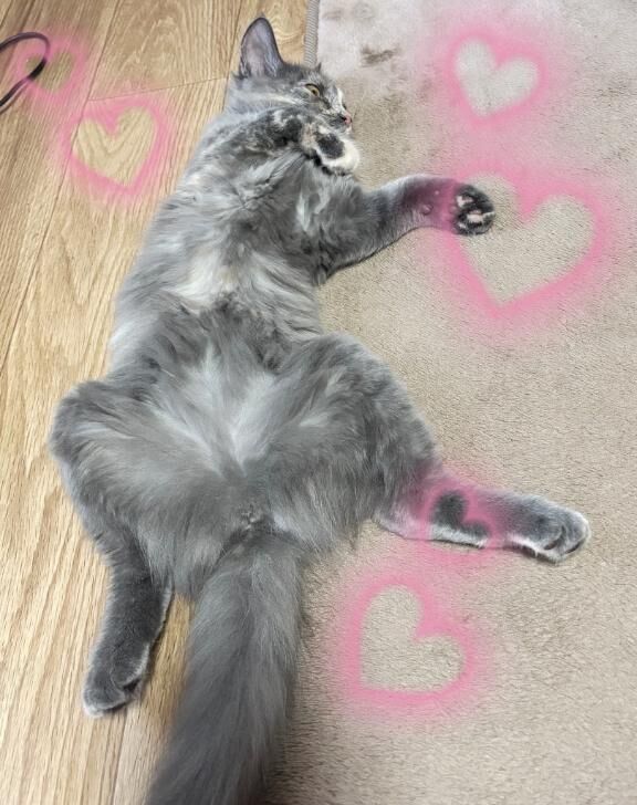 成長