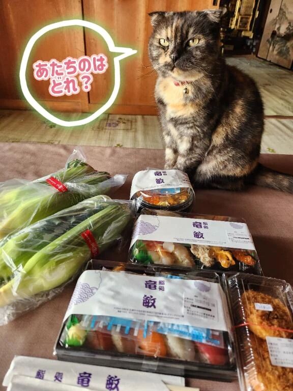 余談ですが&#128049;