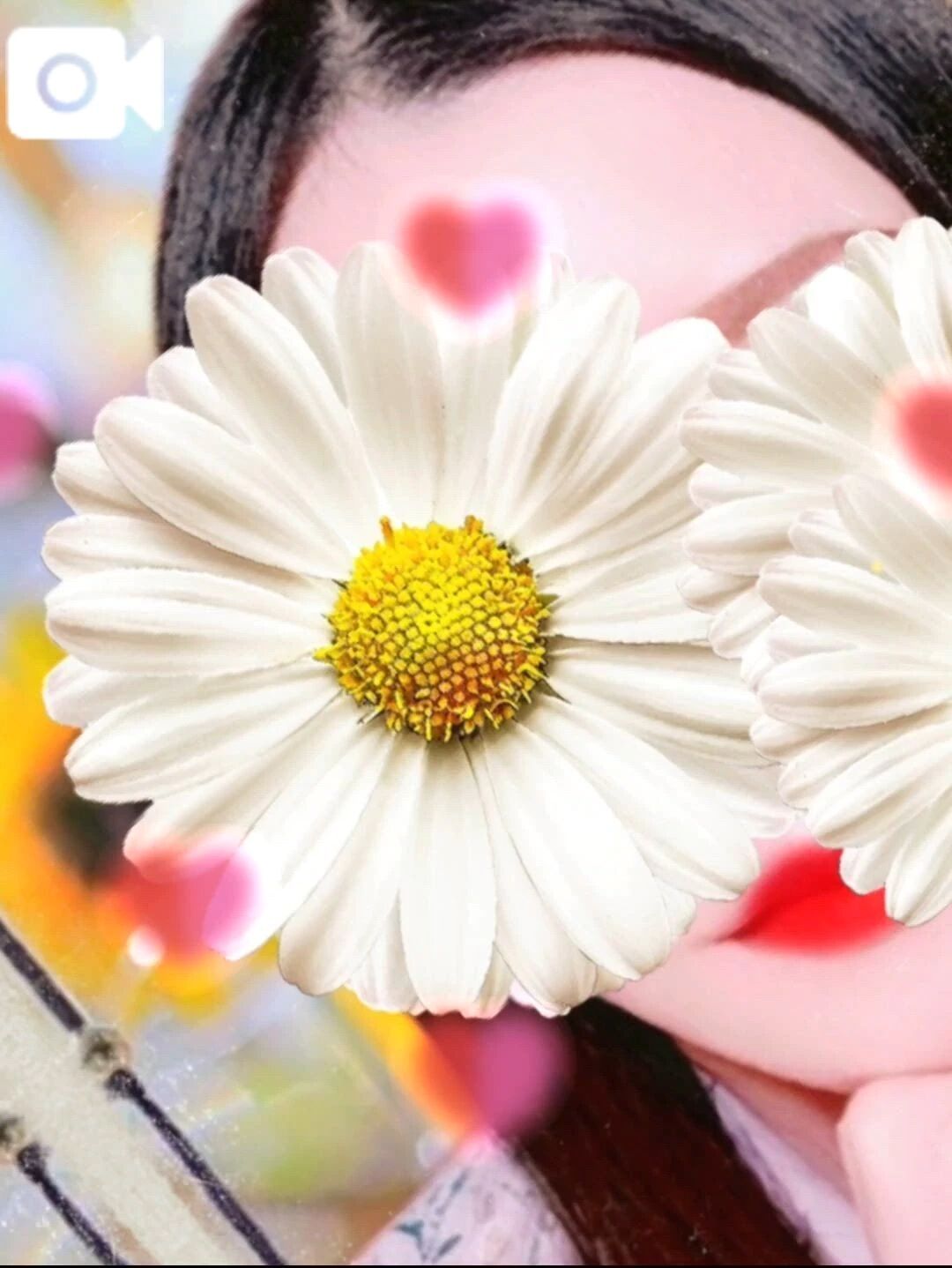 &#127801;&#128151;こんにちは&#128151;&#127801;