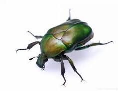 曇り&#9729;&#65039;&#9748;&#65039;