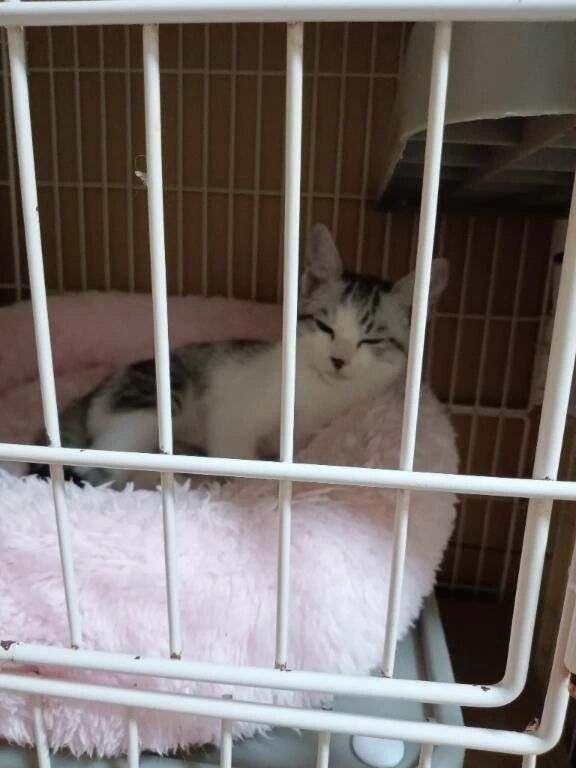 &zwj;♀ご予約ありがとうございます