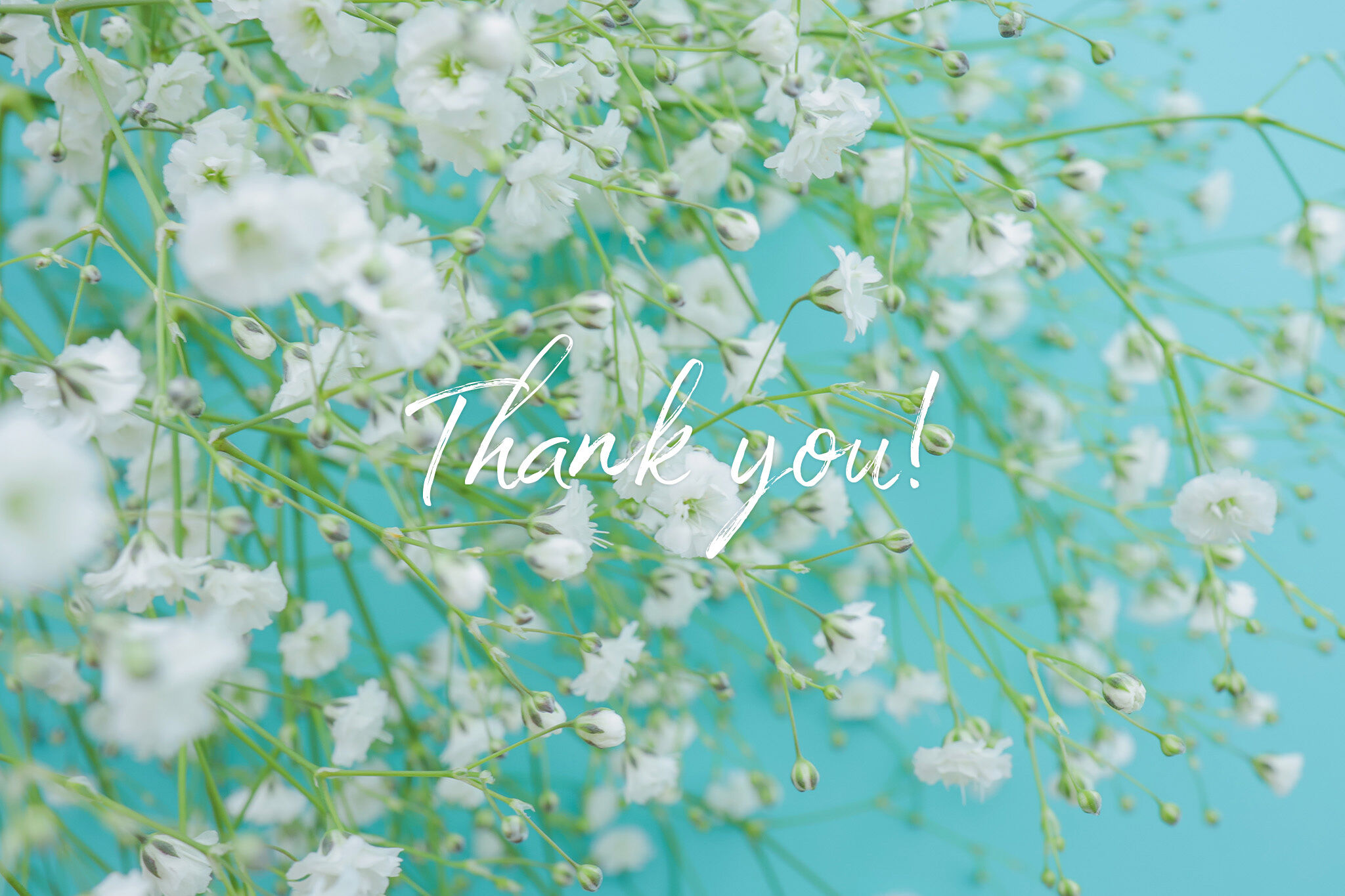 お礼＊千種のI様(Mさん)