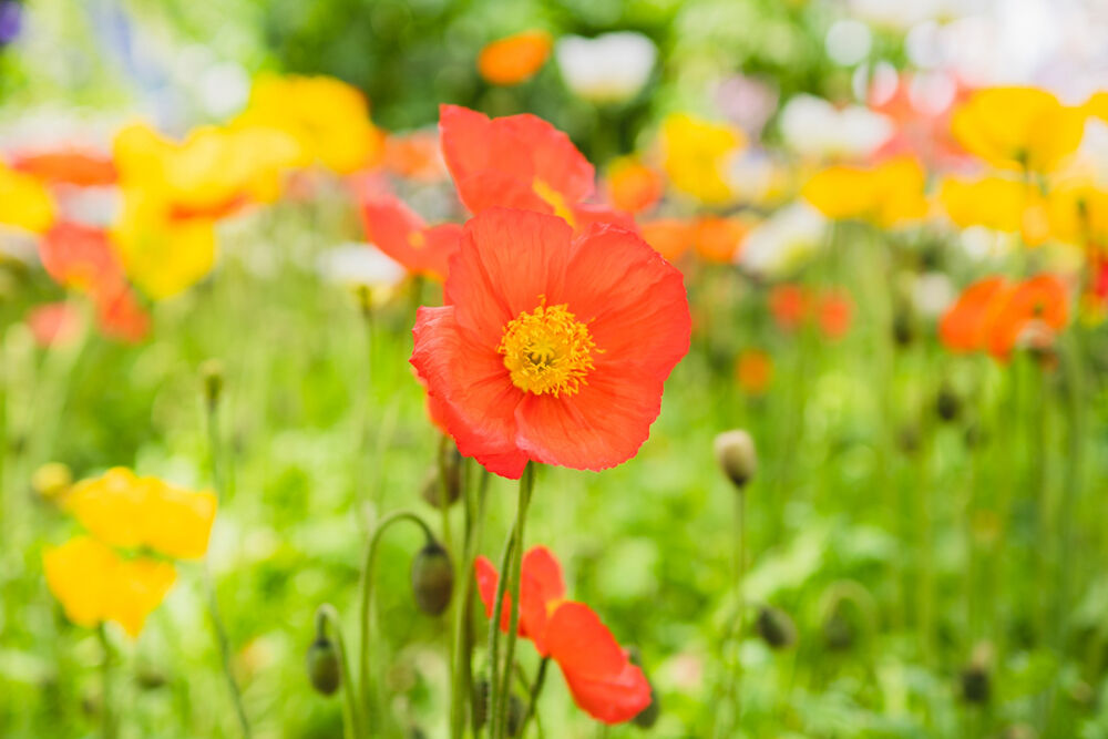 20日(土)　12時40分　&#9825;様