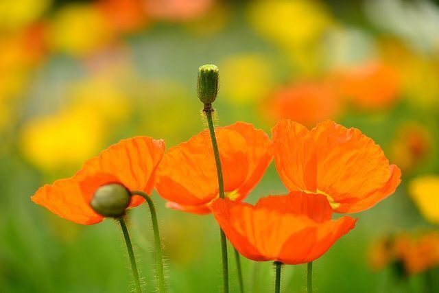 20日(土)　16時　♡様