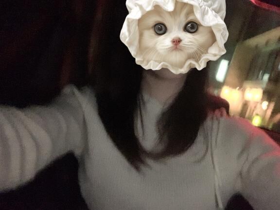 ありがとう