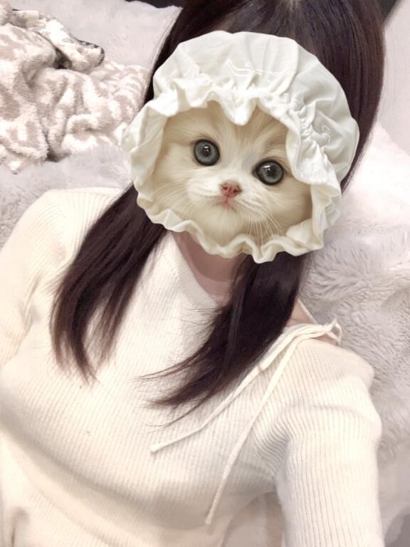 ごめんなさい。