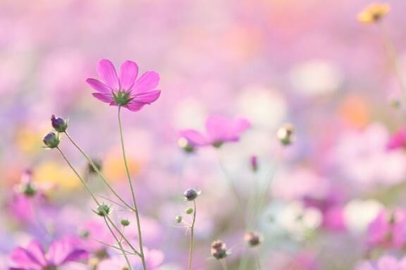 スタート・お礼