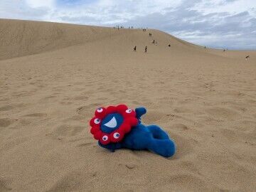 おはようございます(^^)