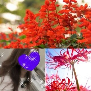 おはようございます♪