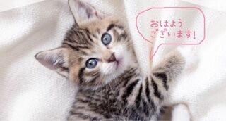 おしゃれなスニーカーを見せてもらいました&#10024;