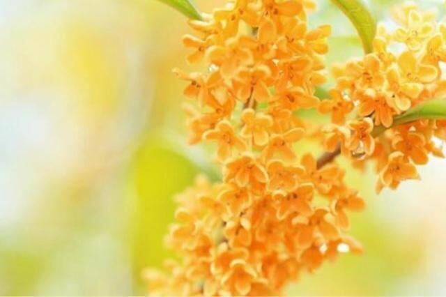 岐阜市仲良しさま&#9825;