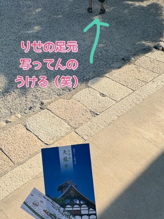 めちゃ爆笑したやつ