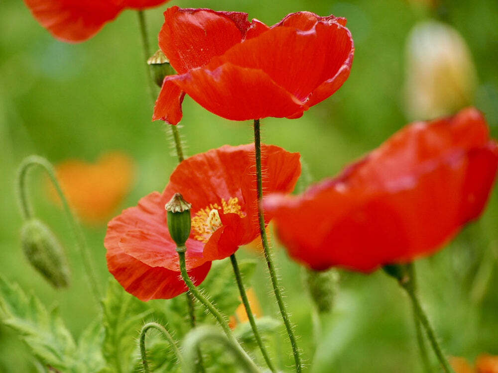 21日(日)　14時30分　&#9825;様