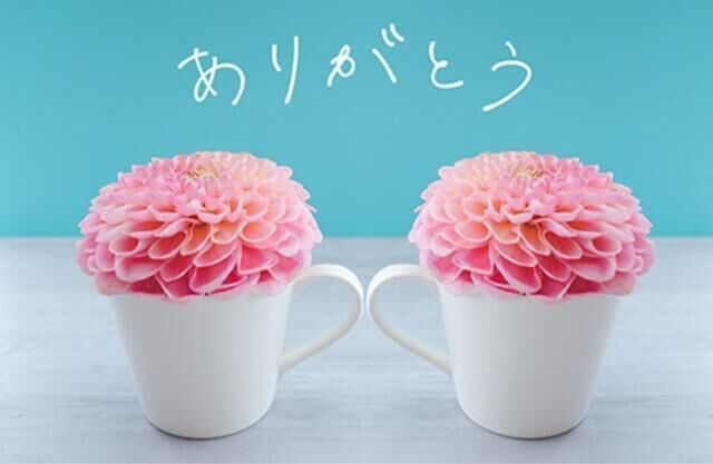 ありがとうございました(♡´♡ ˘ `♡♡)♡