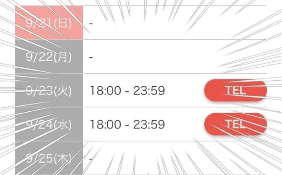 次の乗車日&#128643;
