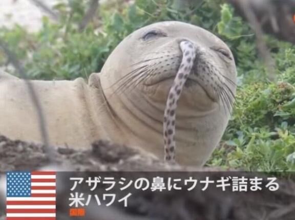 ありがとうございました&#9825;&#9825;♀&#9825;&#9825;&#9825;