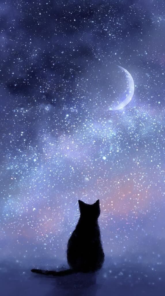 踊りたくない…♡