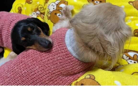 降っとる&#x301C;&#9825;&#9825;