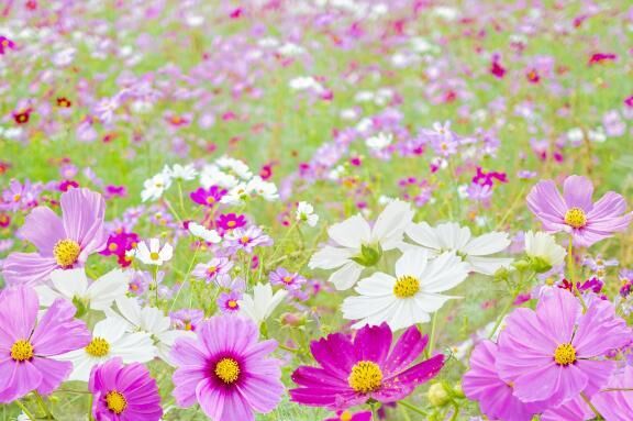 スタート・お礼