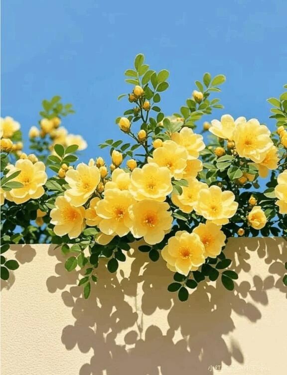 おはようございます&#9728;&#65039;