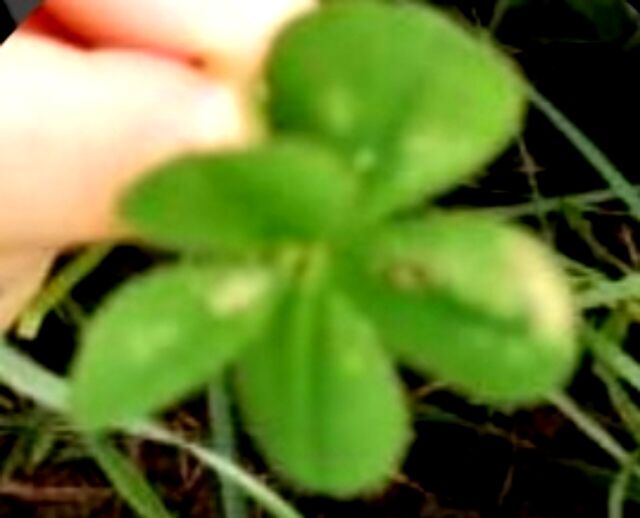 おはよう御座います&#127808;
