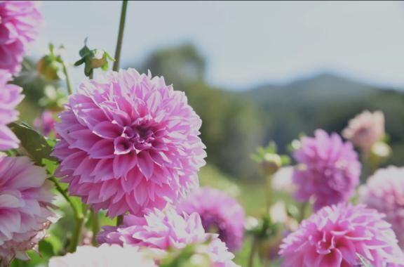 [お題]from:食べ応え抜群！さん