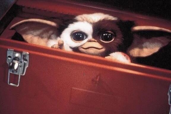 しゅっき〜ん