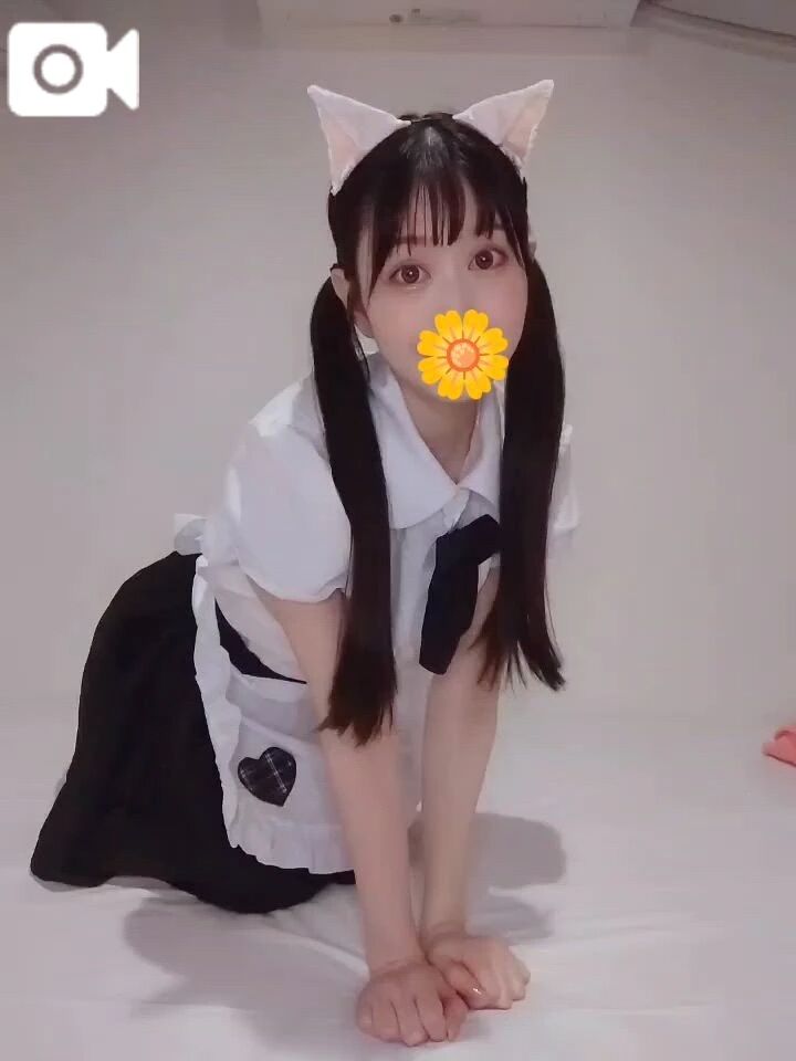 動画です