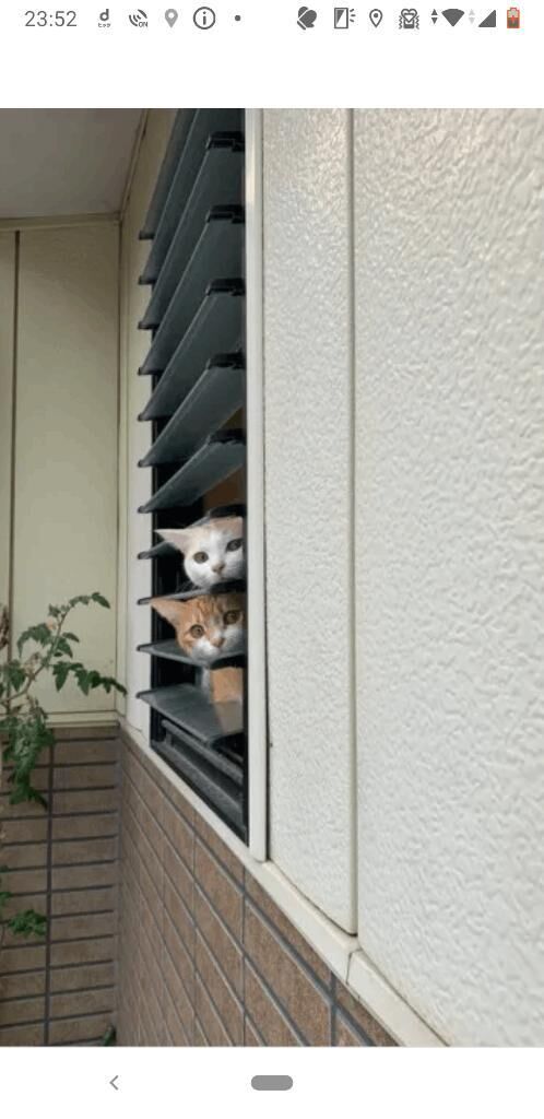 店名が&#x301C;
