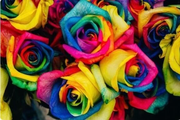 心理テストしてみた&#9825;