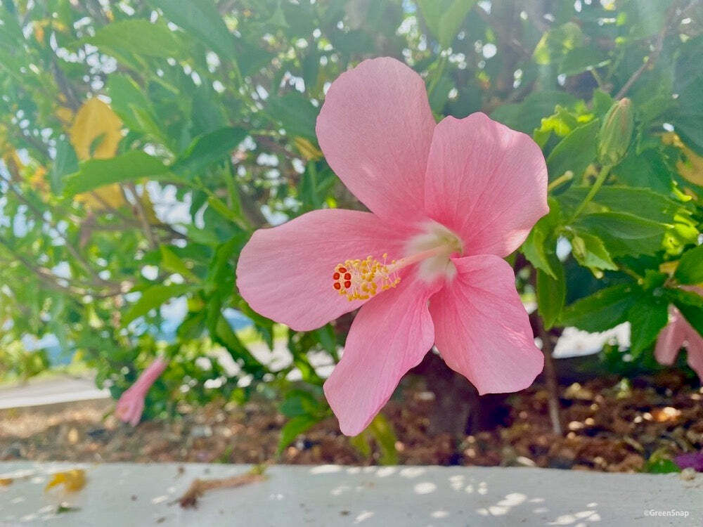 22日(月)　11時50分　&#9825;様