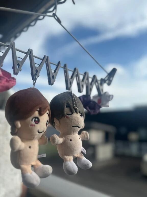 ﾌﾙﾁﾝで干される推しぬい &#128059;&#3968;&#3954;