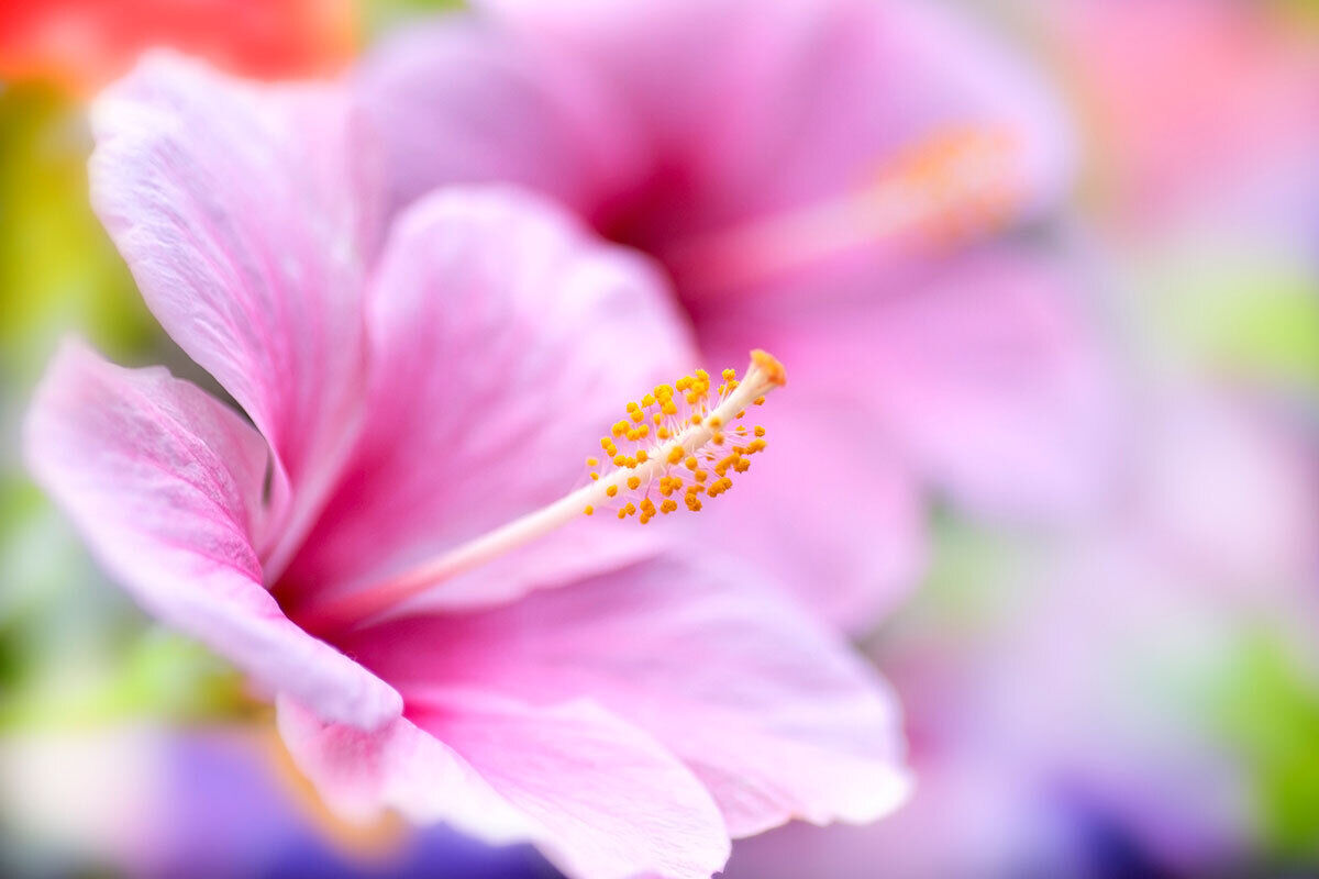22日(月)　13時50分　&#9825;様