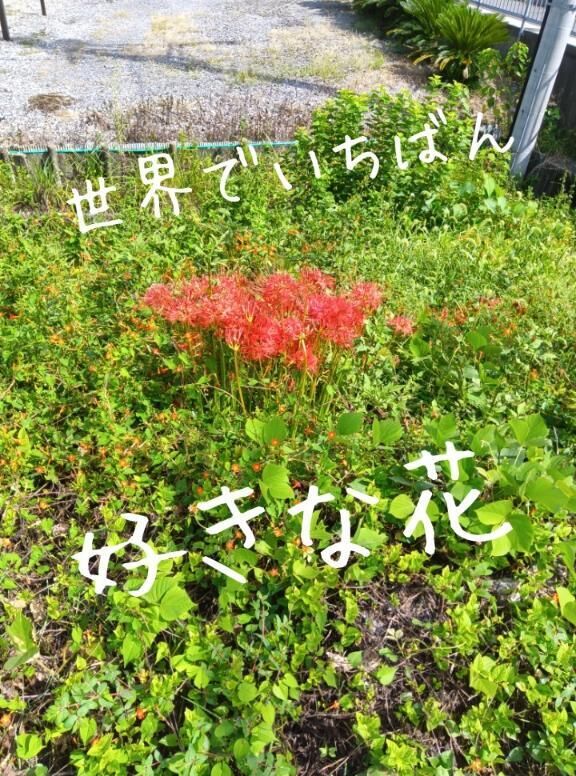 おはようございます