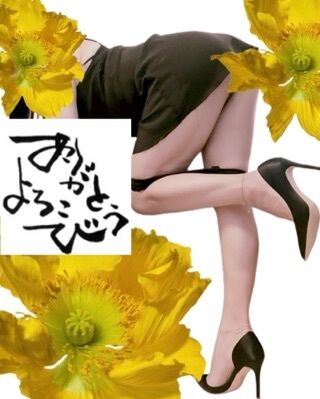 (o^^o)♪