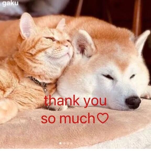 ありがとうございました♡