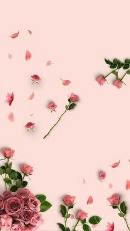 秋分の日