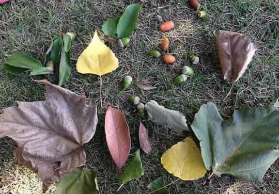 本格的な秋の訪れ、秋分の日