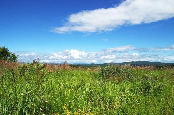 おはようございます