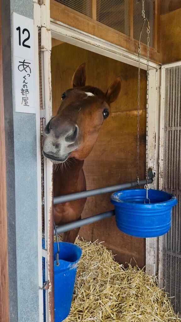 (  &#9825;&#9825;&#9825;&#9825;)