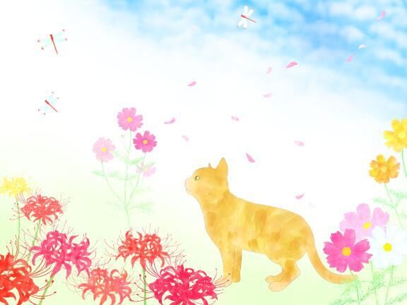 お題とか