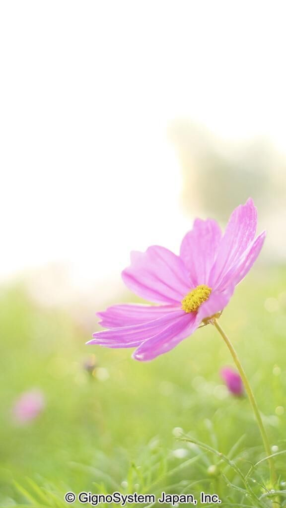 こんにちは&#9825;