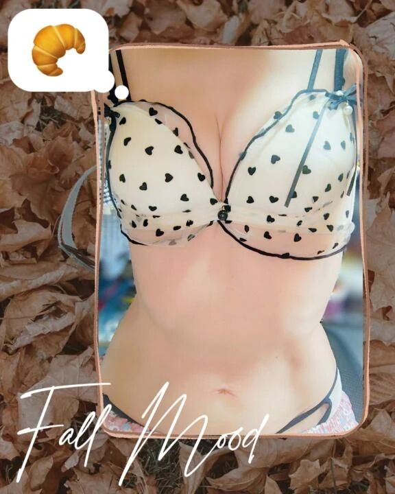 ドキドキわくわく