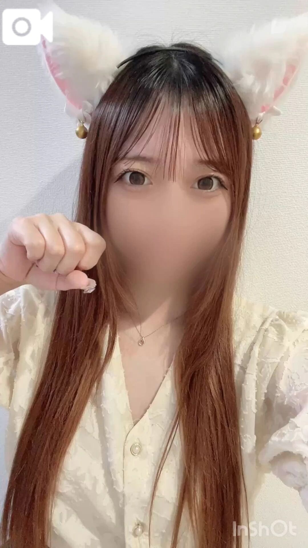 5日目