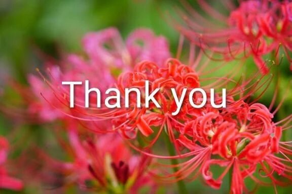 Thanks☆