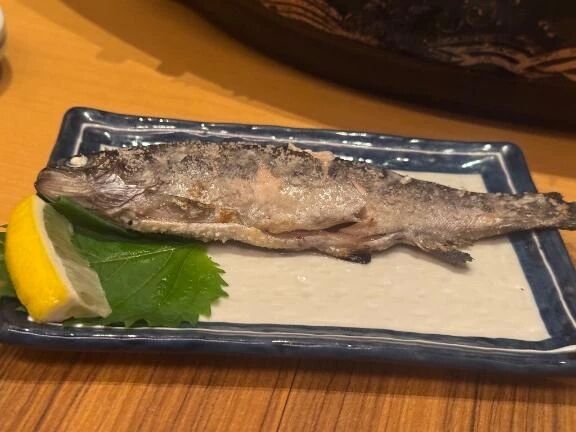 ニジマス&#128031;